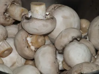 Zapiekanka makaronowa z boczkiem i pieczarkami - 7