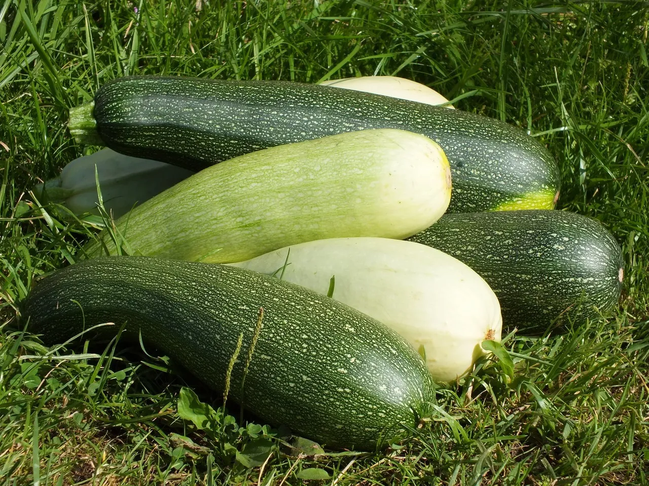 Smażona cukinia