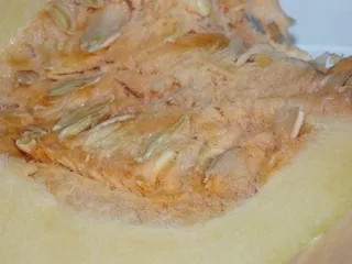 Zapiekanka z dynią, papryką i boczkiem - 5