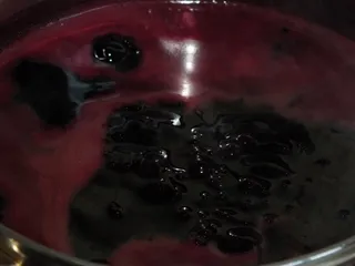 Rozgrzewający syrop z czarnego bzu - 13