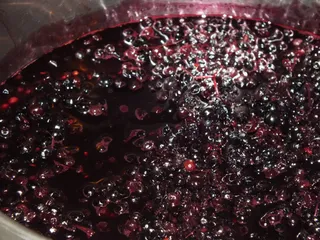 Rozgrzewający syrop z czarnego bzu - 5