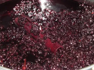 Rozgrzewający syrop z czarnego bzu - 8