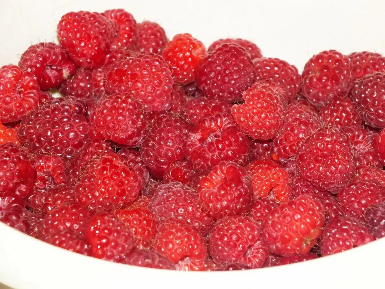 Malinowe ciasto z żurawinową pianką