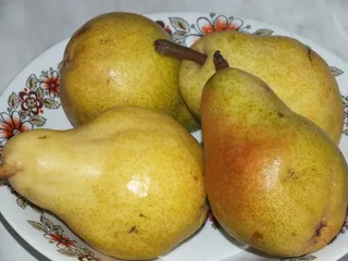 Kakaowy biszkopt z gruszkami i masą śmietankową - 5