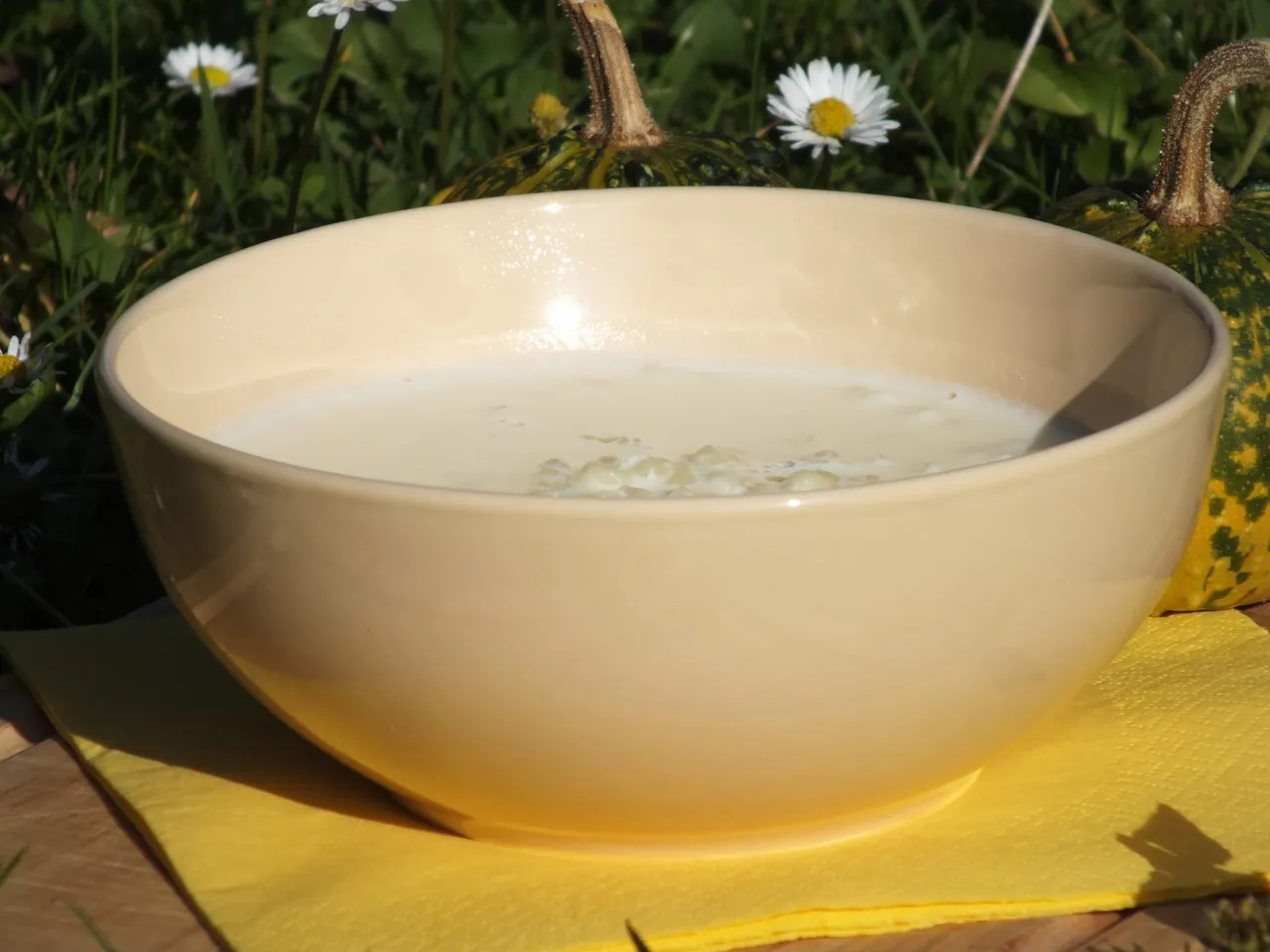 Zupa mleczna z dynią i zacierką