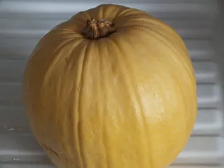 Zupa mleczna z dynią i zacierką - 4