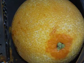 Pełnoziarnisty jabłecznik z lekką pianką i nutką pomarańczy - 7