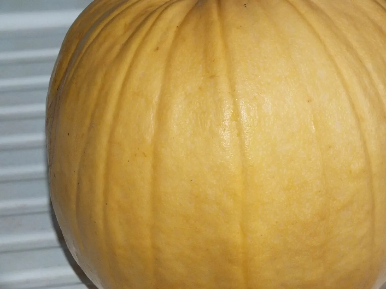 Puree ziemniaczane z dynią