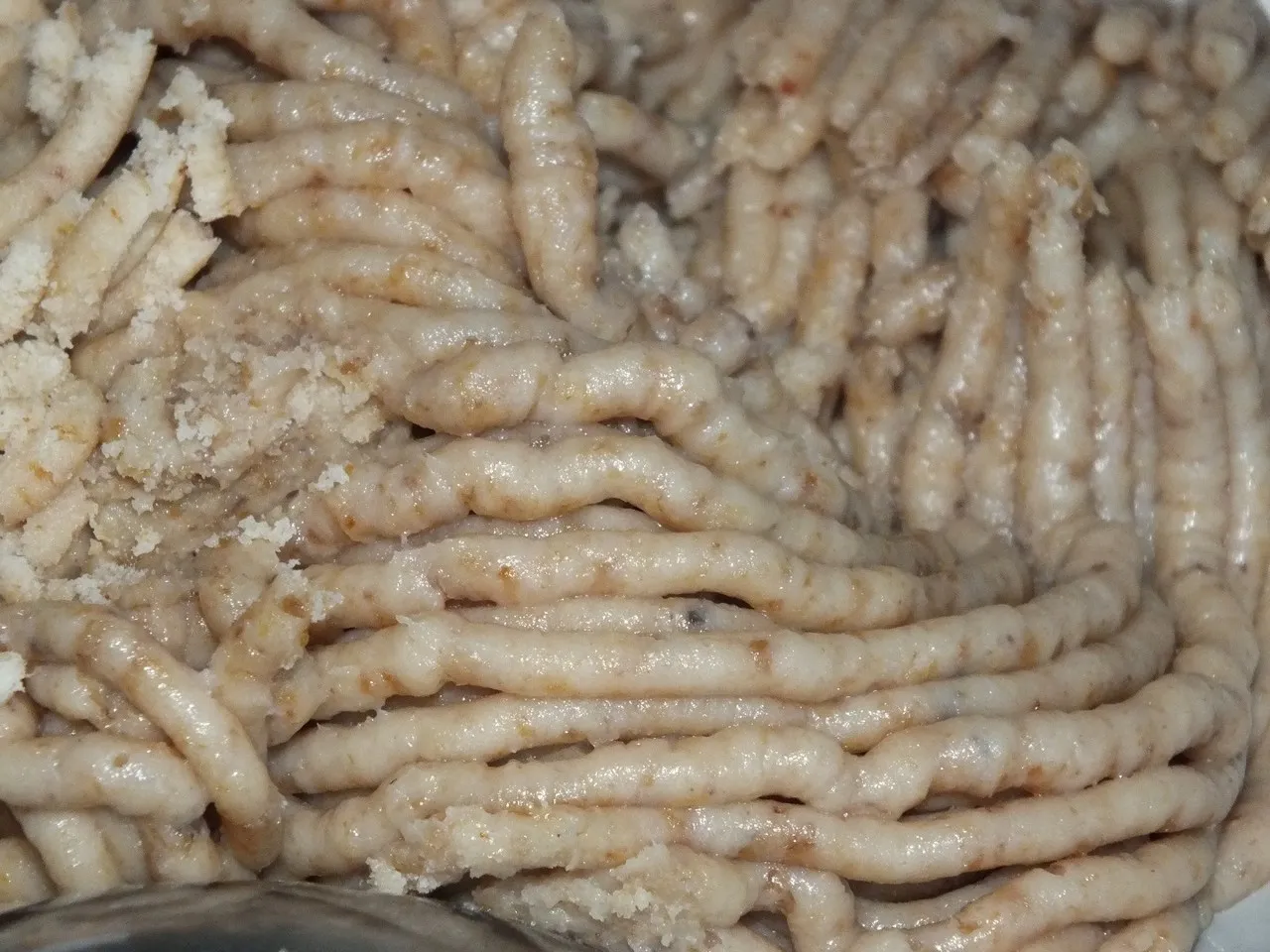Kruche ciasteczka na Boże Narodzenie