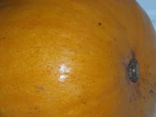 Zapiekanka ziemniaczano-dyniowa z mieloną kiełbasą - 5