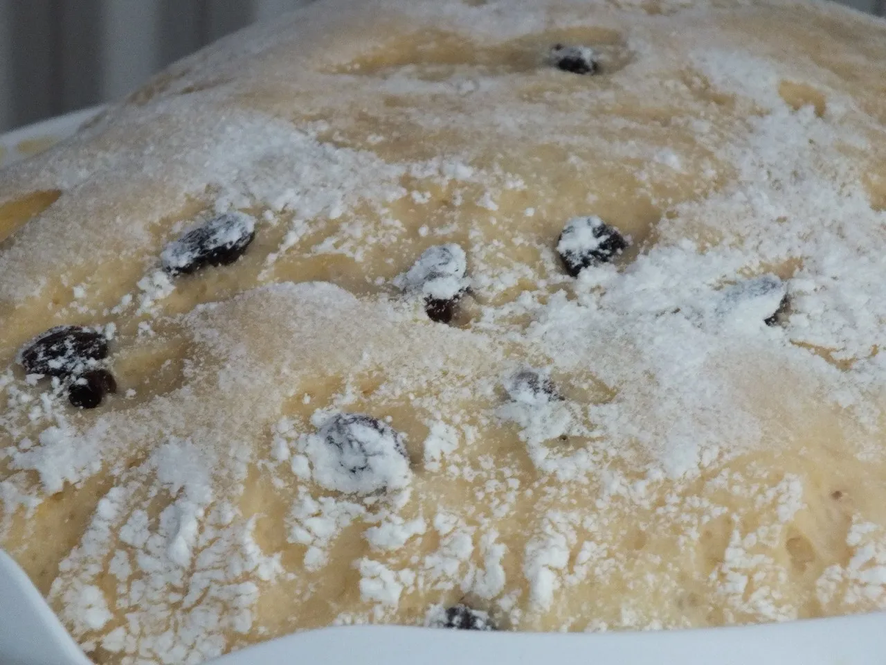 Wielkanocna babka drożdżowa z rodzynkami