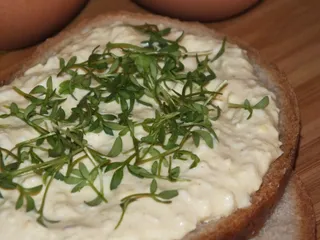 Pasta jajeczna z chrzanową nutką - 1