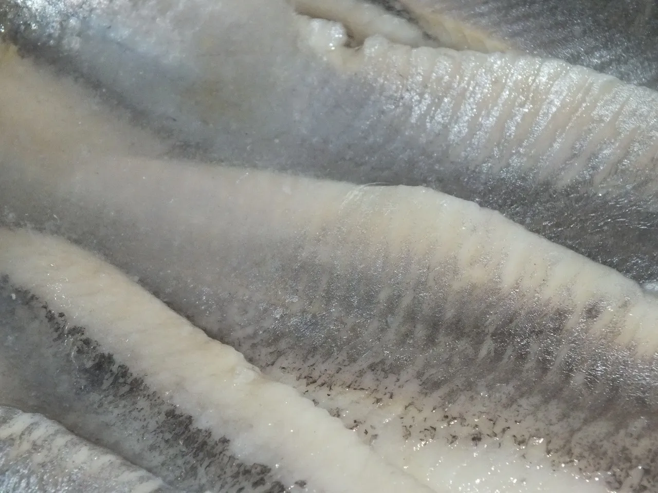 Sałatka śledziowa z pomidorami