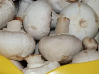 Brokułowa zupa krem na rosole - 8
