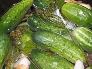 Ogórki małosolne - 9