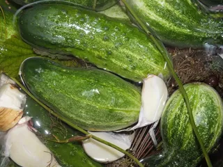 Ogórki małosolne - 10