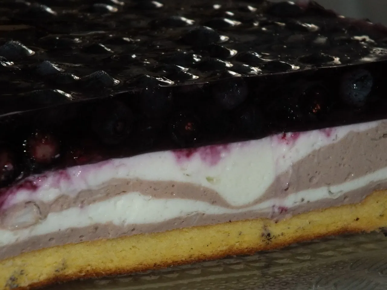 Biszkopt z masą jogurtowo-serową i jagodami w galaretce