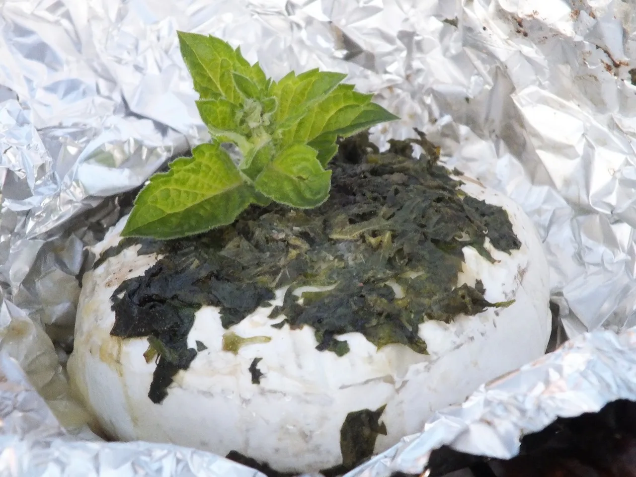 Miętowy camembert z grilla