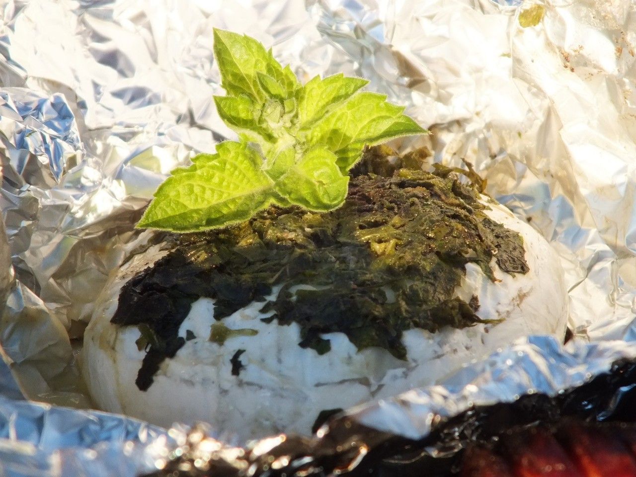 Miętowy camembert z grilla