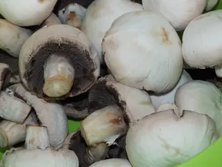 Placki z cukinii i pieczarek - 9