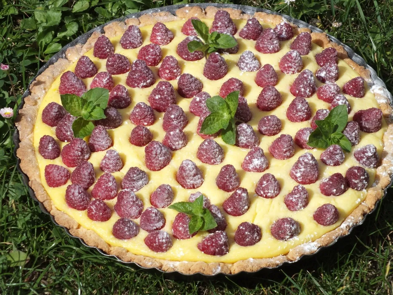 Tarta z pyszną budyniową masą i malinami