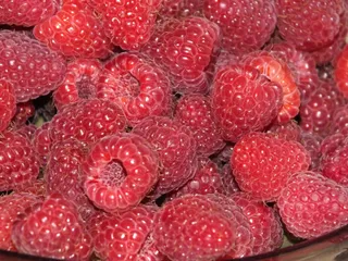 Tarta z pyszną budyniową masą i malinami - 14