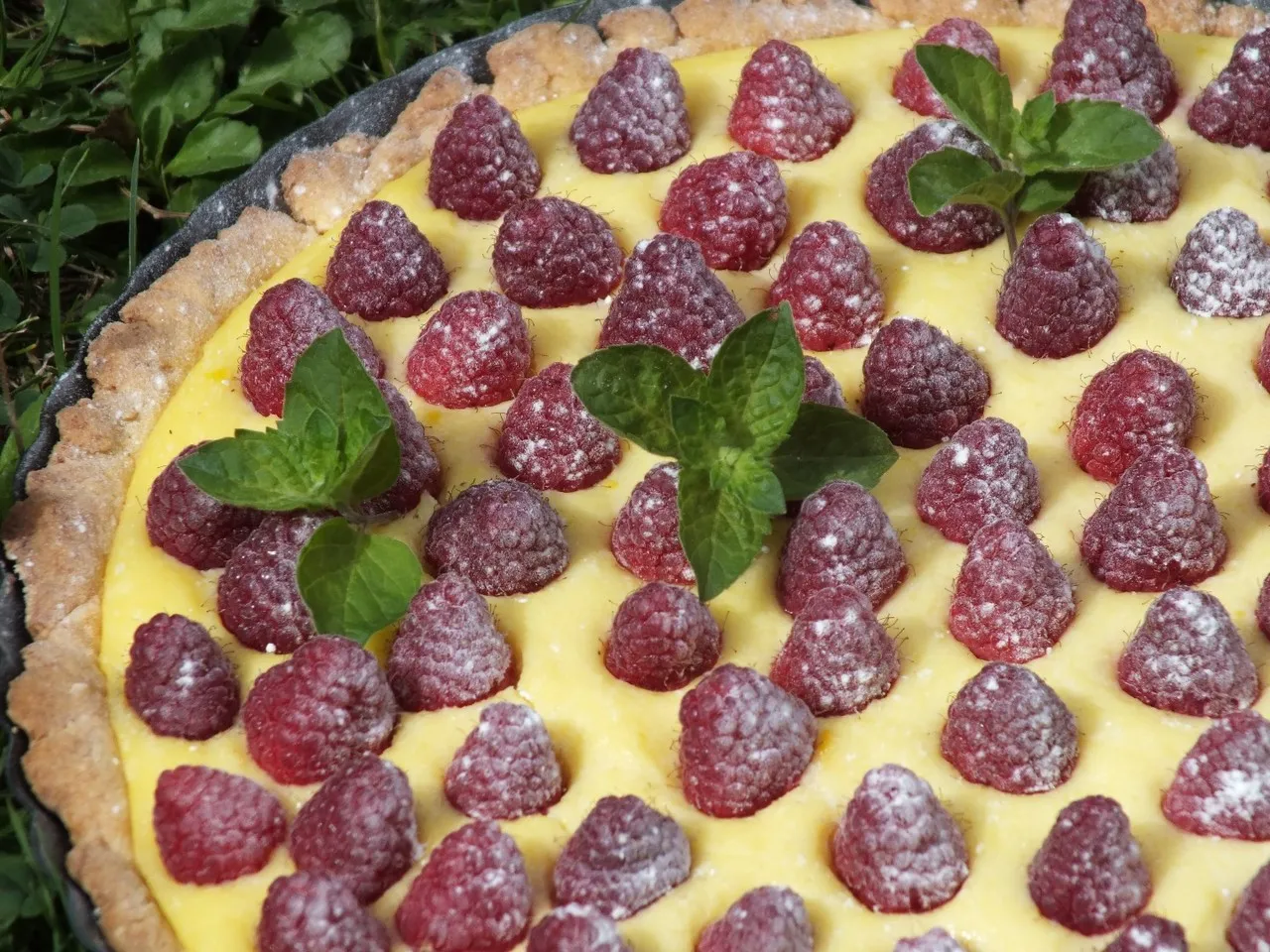 Tarta z pyszną budyniową masą i malinami