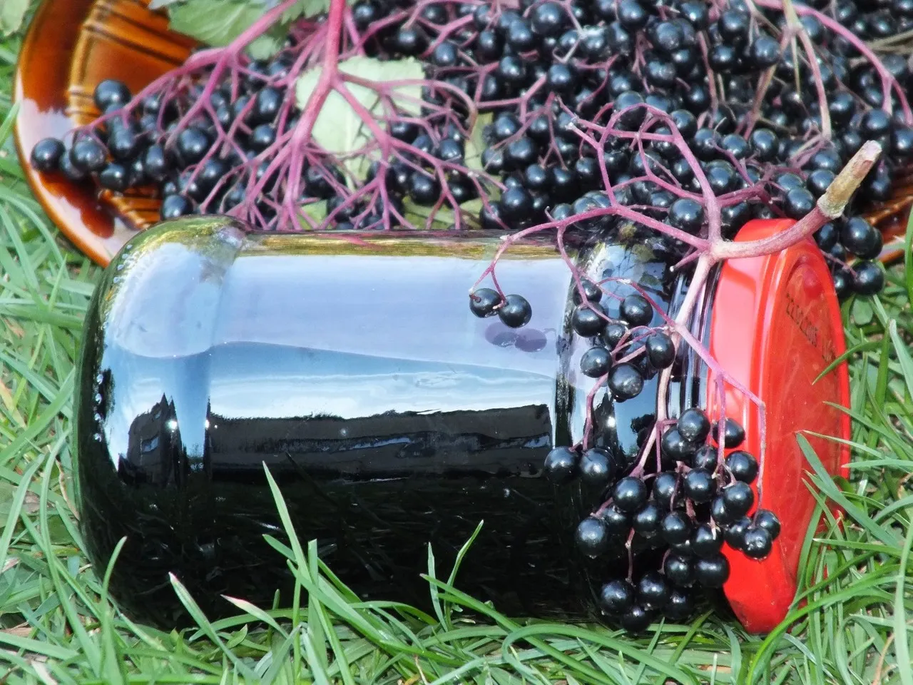 Sok z owoców czarnego bzu i limonki