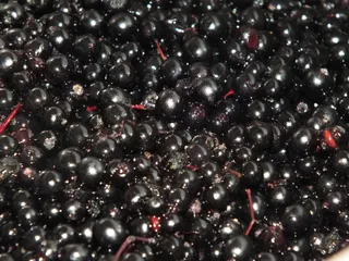 Sok z owoców czarnego bzu i limonki - 6