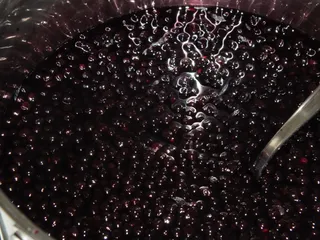 Sok z owoców czarnego bzu i limonki - 10
