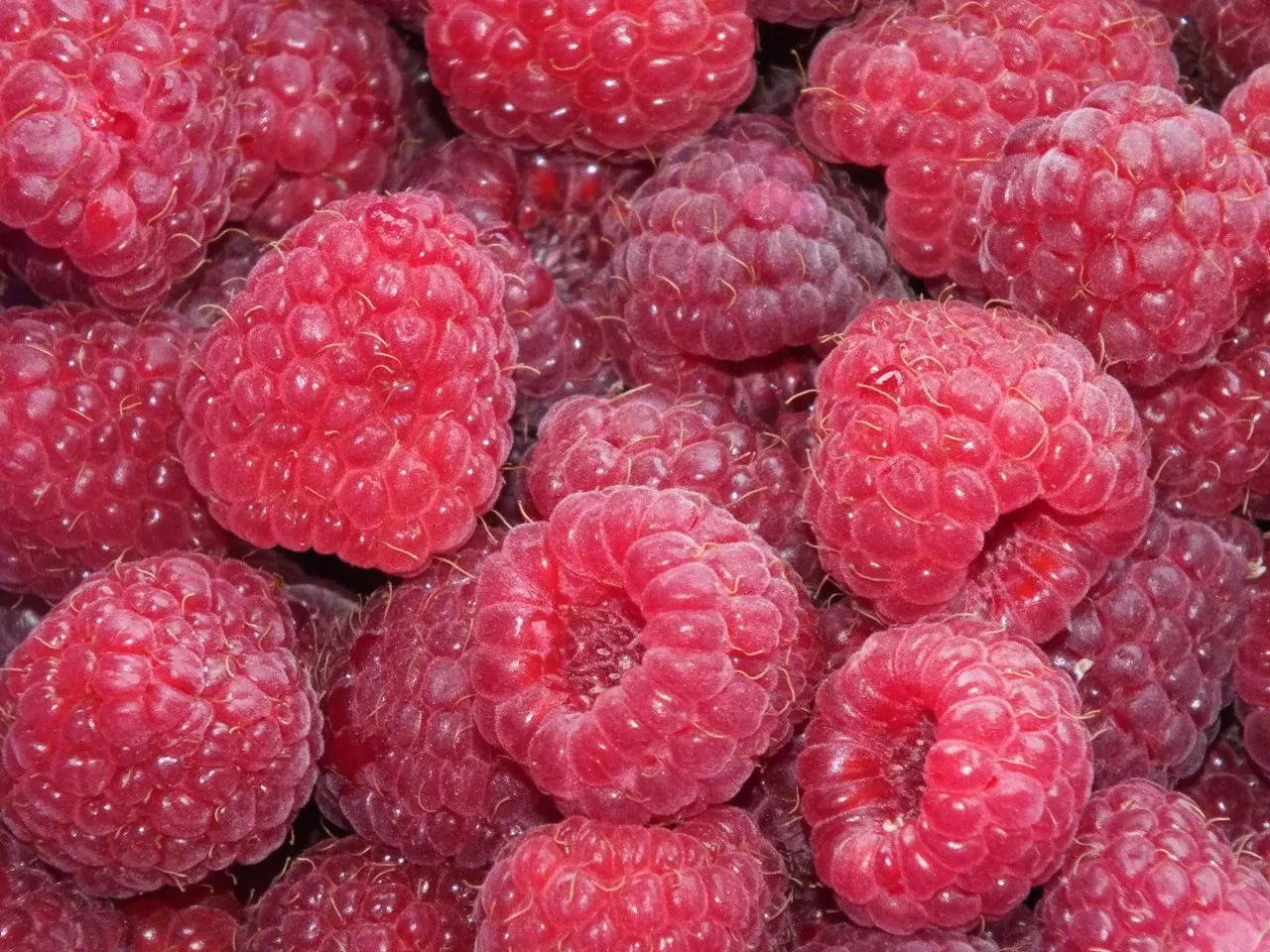 Malinowy syrop z nutką mięty
