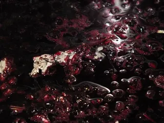 Sok z czarnego bzu z lawendą - 11