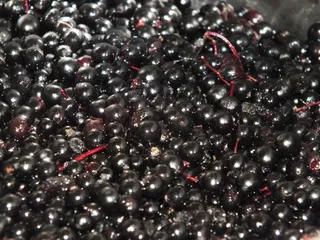 Sok z czarnego bzu z lawendą - 7