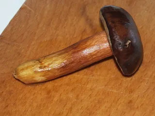 Jesienna zupa z grzybową nutką - 12