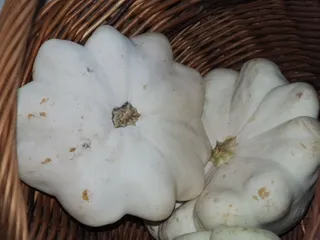 Smaczna i szybka potrawka z patisonem - 4