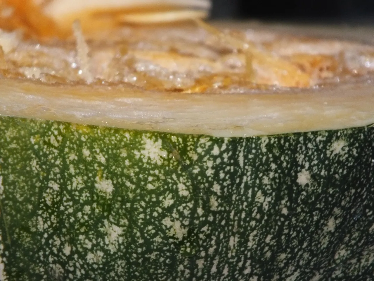 Cukiniowe ciasto pod kokosową bezą