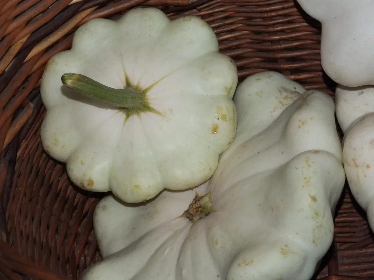 Zapiekanka makaronowa z patisonem, szynką i pieczarkami