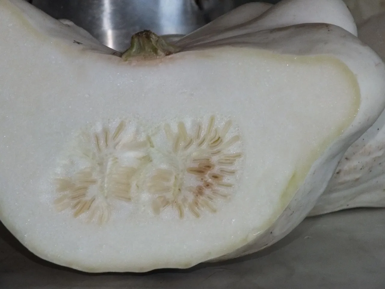 Zapiekanka makaronowa z patisonem, szynką i pieczarkami