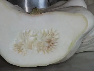 Zapiekanka makaronowa z patisonem, szynką i pieczarkami - 5