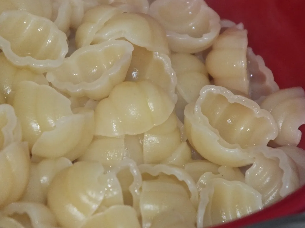 Zapiekanka makaronowa z patisonem, szynką i pieczarkami