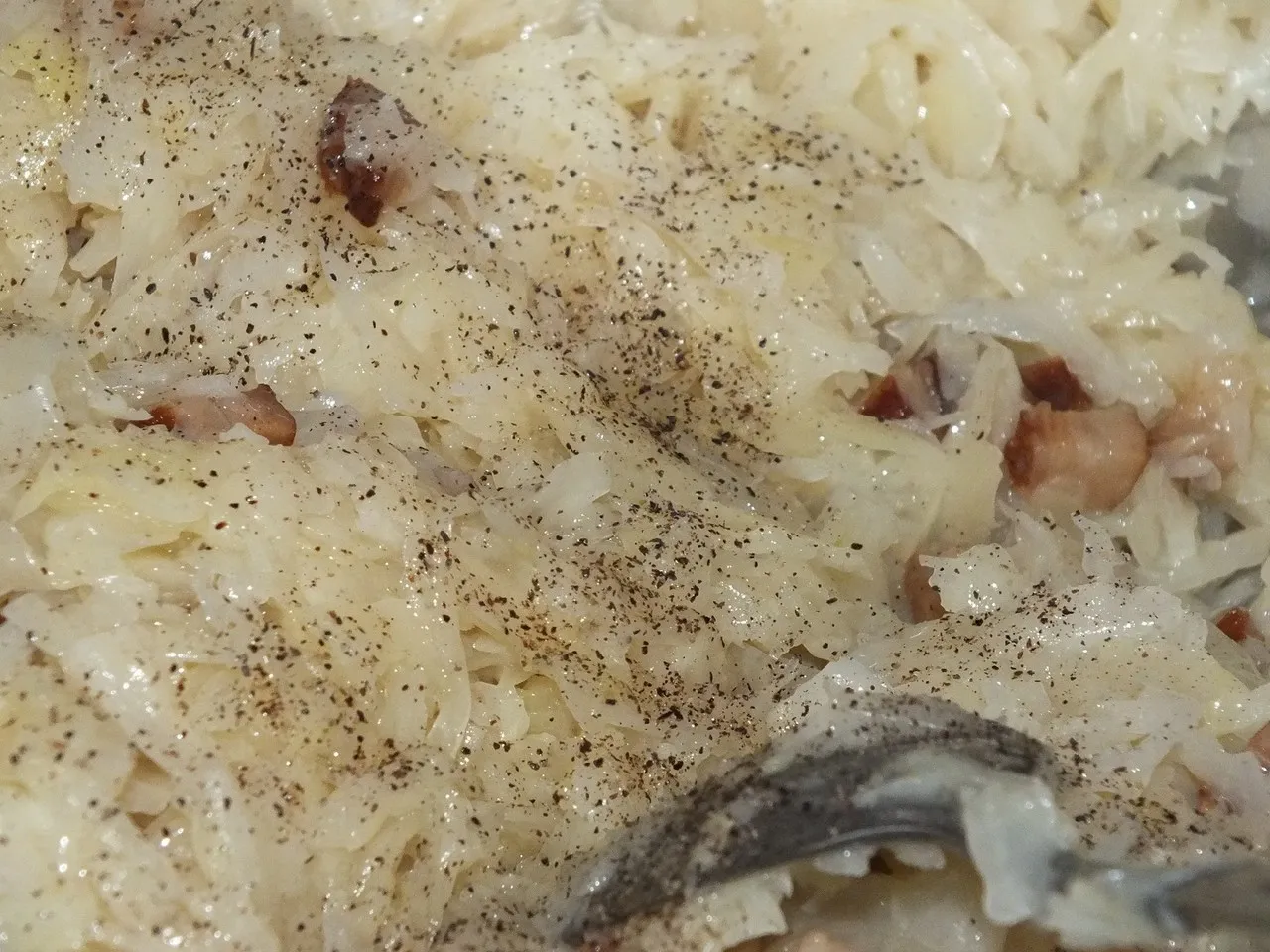 Biała kapusta z koperkiem