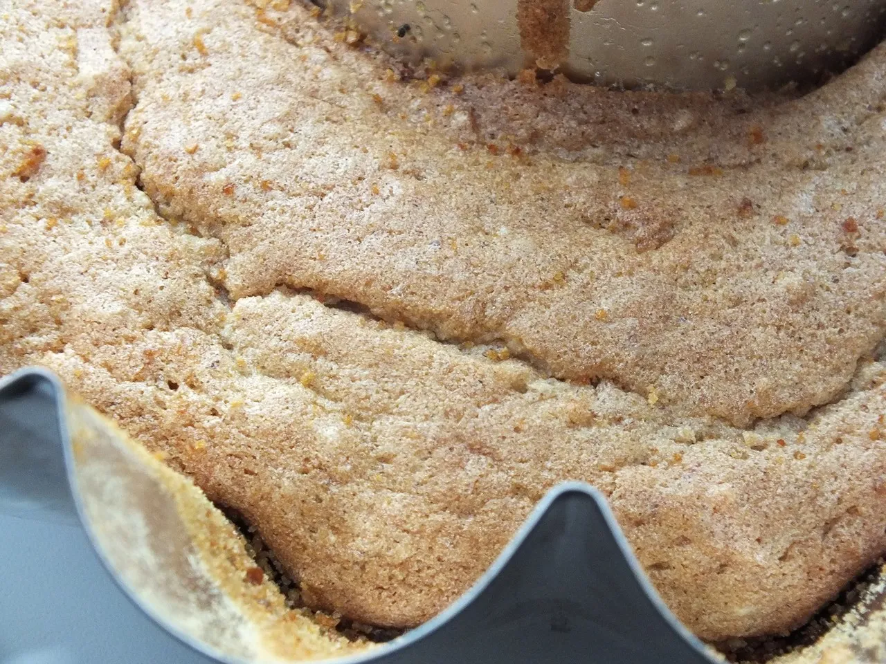 Babka pełnoziarnista z białek
