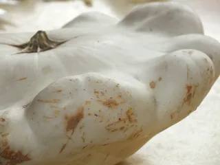 Zupa krem z patisona - 4