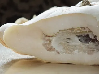 Zupa krem z patisona - 5