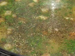 Jarzynowa z groszkiem i fasolką szparagową - 17