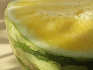 Smoothie z kiwi i arbuza - 6
