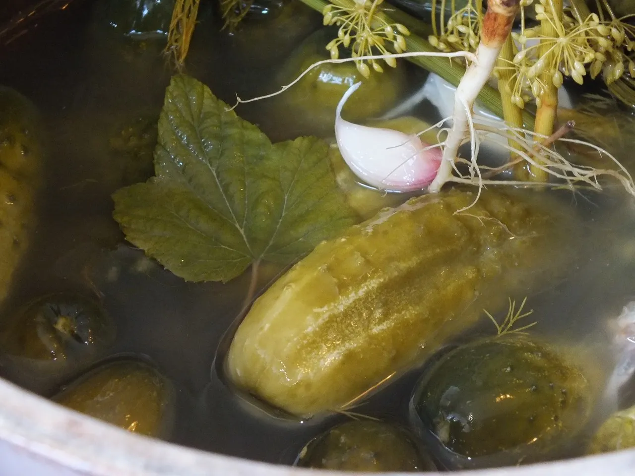 Małosolne ogórki