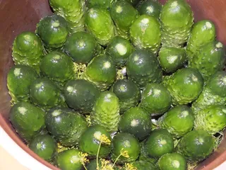 Małosolne ogórki - 10