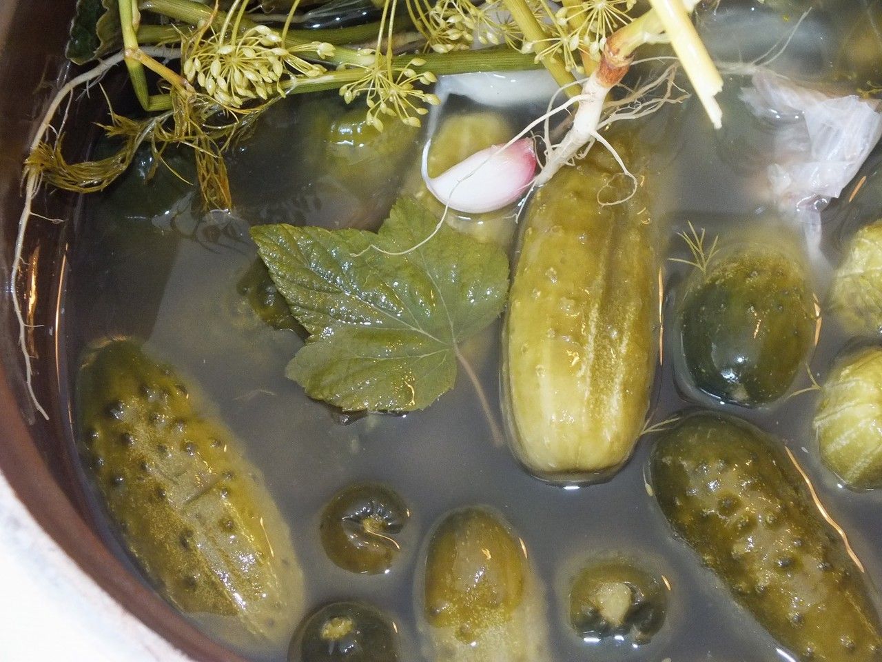 Małosolne ogórki