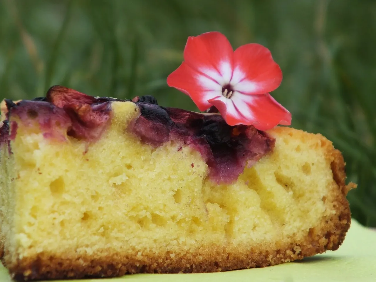 Ciasto na oleju z jabłkami i jagodami